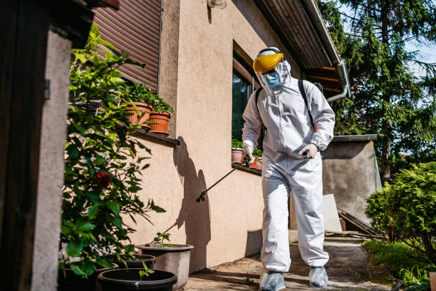 Reliable Artesia, CA Pest Control Solutions