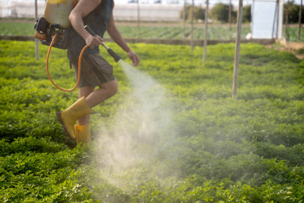 Best Affordable Pest Control Services  in Artesia, CA