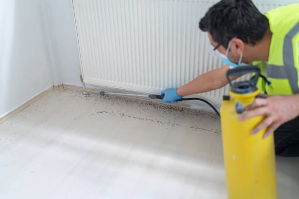 Best Pest Inspection Near Me  in Artesia, CA